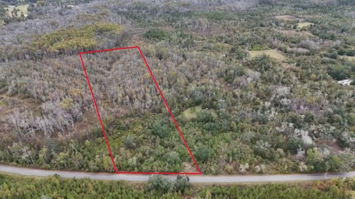 6511 NW Flowers Road, Madison, FL 32340 - #1