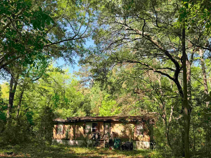 6984 Red Gum Court, Tallahassee, FL 32303 - #3