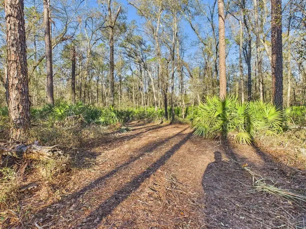 465 NE River Ridge Way, Lee, FL 32059 - #1