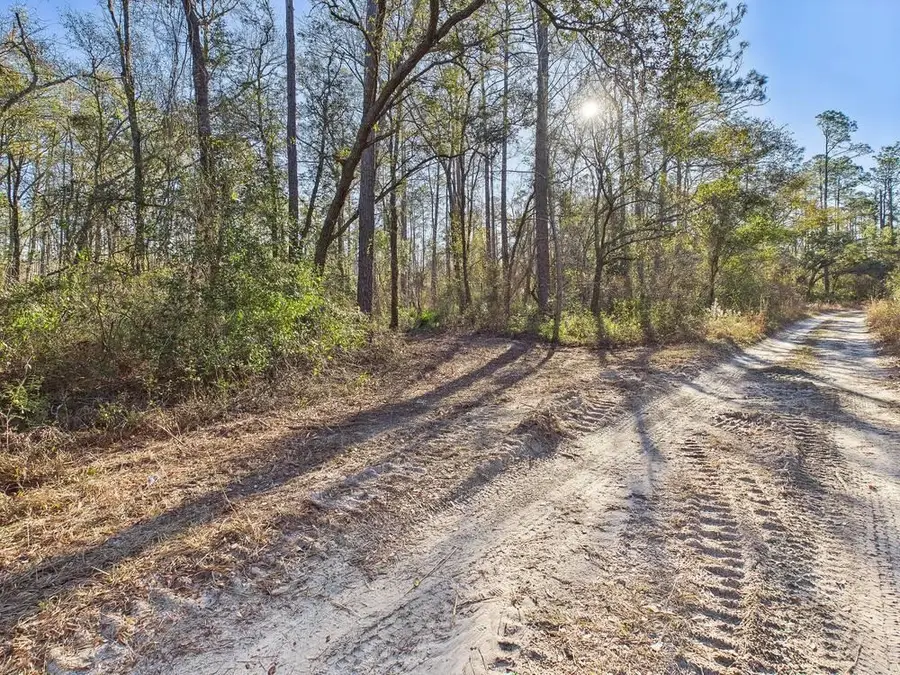 465 NE River Ridge Way, Lee, FL 32059 - #3