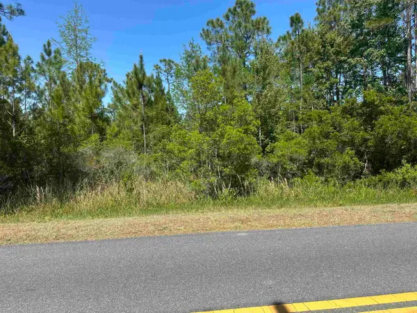 Xx20 Mill Road, Carrabelle, FL 32322