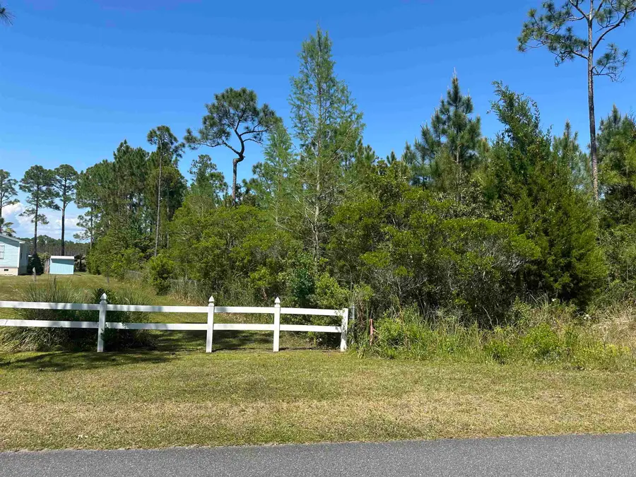 Xx20 Mill Road, Carrabelle, FL 32322 - #2