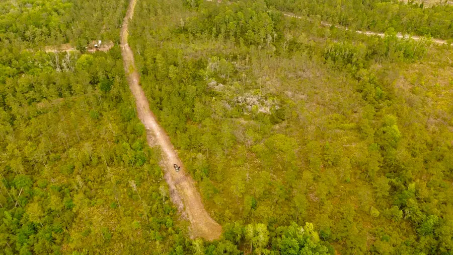 Lot 84 SW Oregon Trail, Greenville, FL 32331 - #2