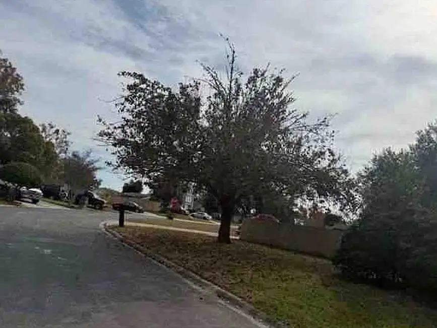 560 Edward Rutledge Street, Lakeside, FL 32073 - #2