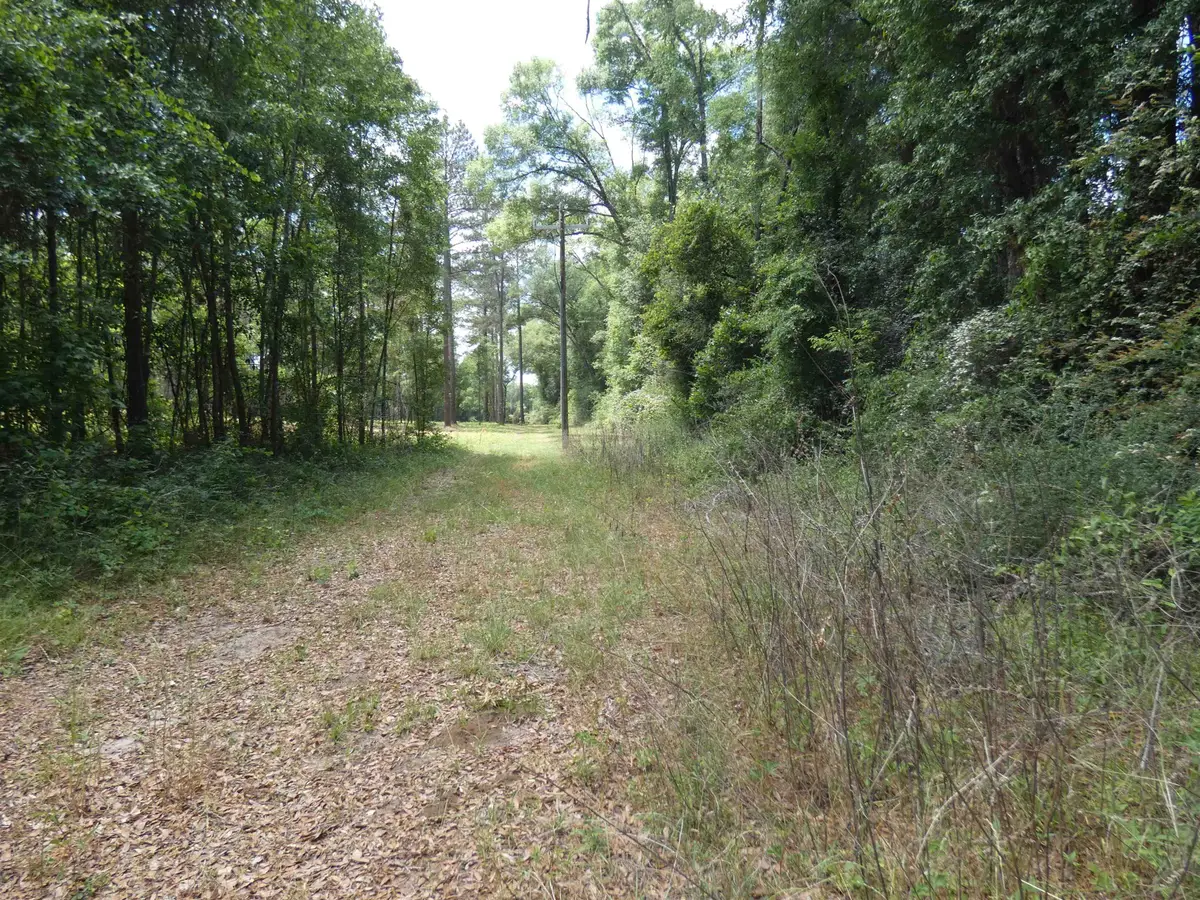 TBD W Washington, Monticello, FL 32344 - #1