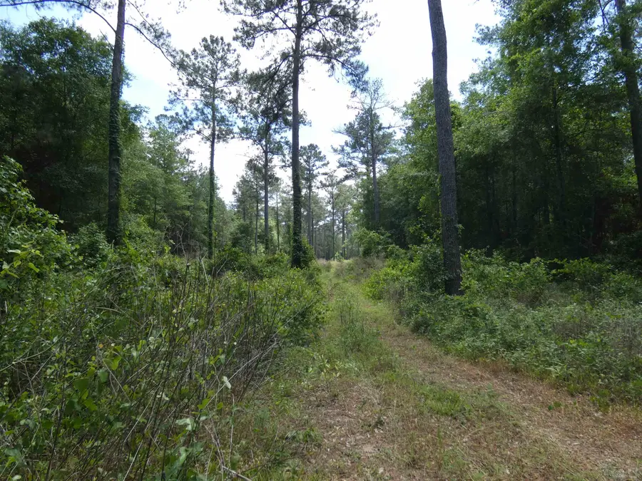 TBD W Washington, Monticello, FL 32344 - #3