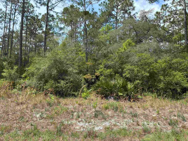 Lot 50 Whiteford Way Way, Panacea, FL 32346