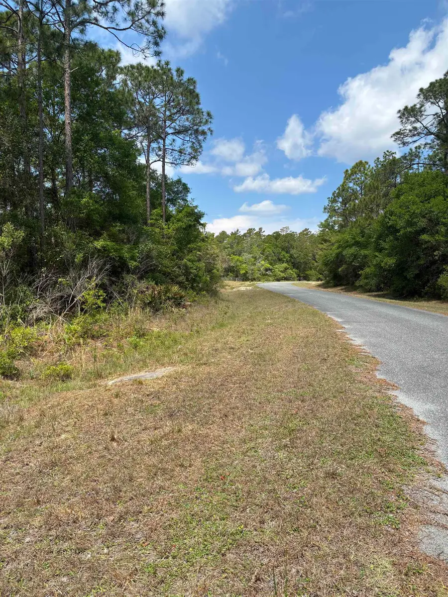 Lot 50 Whiteford Way Way, Panacea, FL 32346 - #2