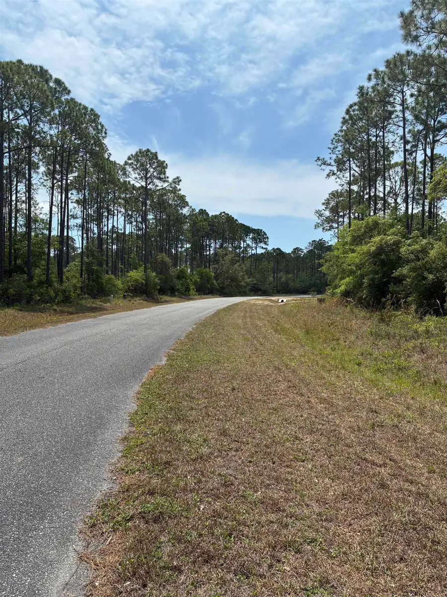 Lot 50 Whiteford Way Way, Panacea, FL 32346 - #3