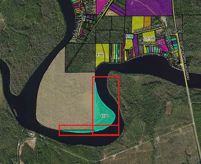 XXXX Sopchoppy River, Sopchoppy, FL 32358 - #2