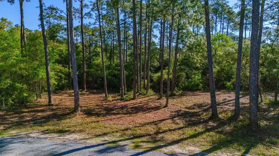 3493 Firefly Circle, Saint Teresa, FL 32358 - #3