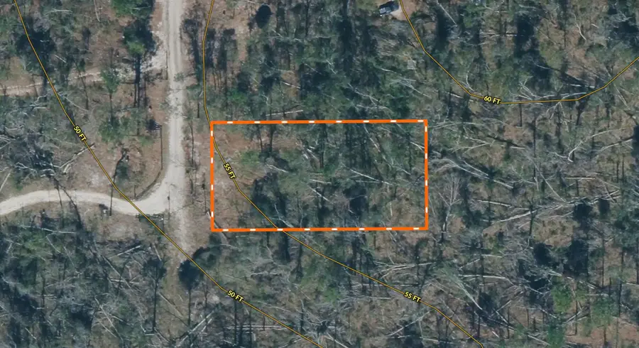 XXX 237th Road, Live Oak, FL 32060 - #2