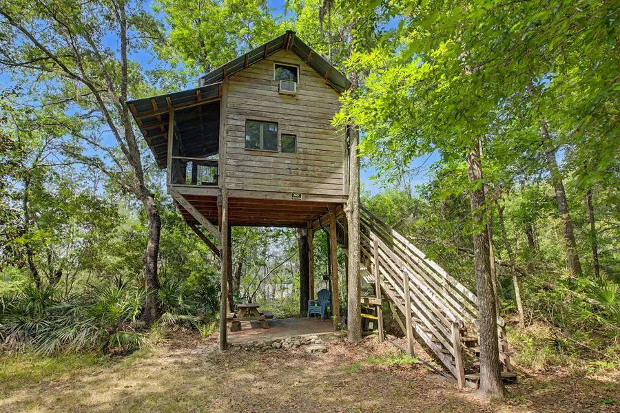 253 Persimmon Road, Sopchoppy, FL 32358 - #3