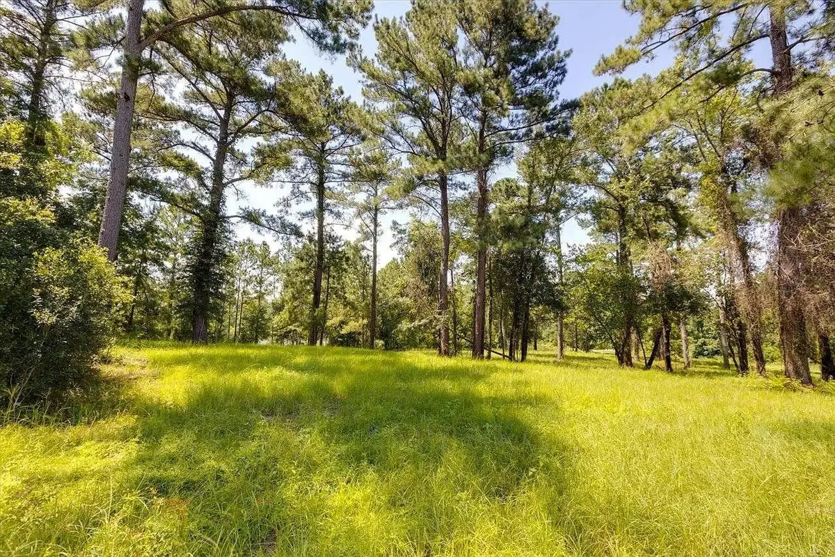 0 Tram Court, Tallahassee, FL 32311 - #1