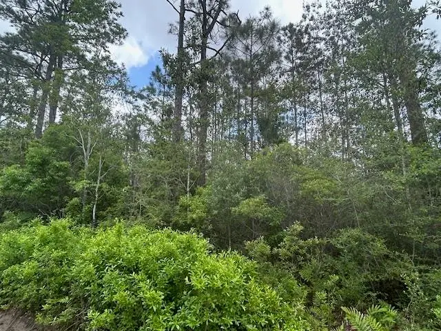 xx N 15th Avenue, Avalon, FL 32583 - #2