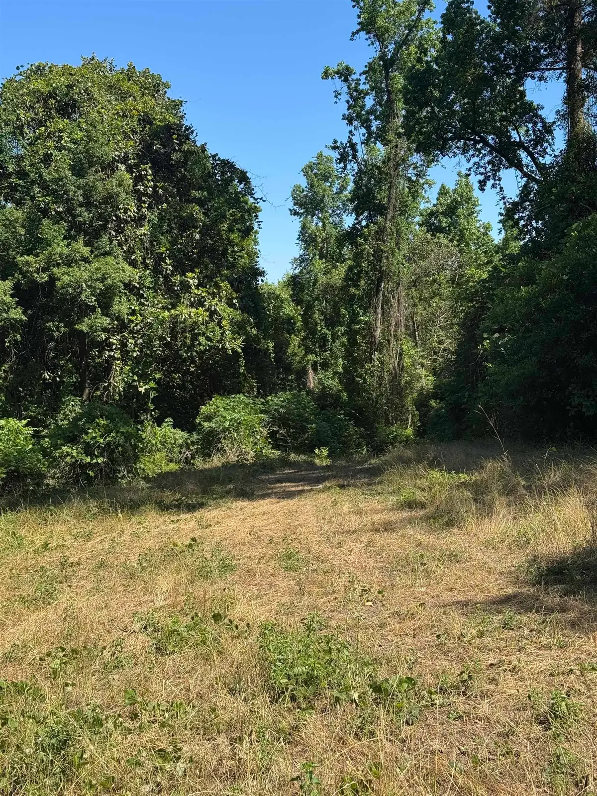 XX Attapulgus Highway, Quincy, FL 32352 - #1