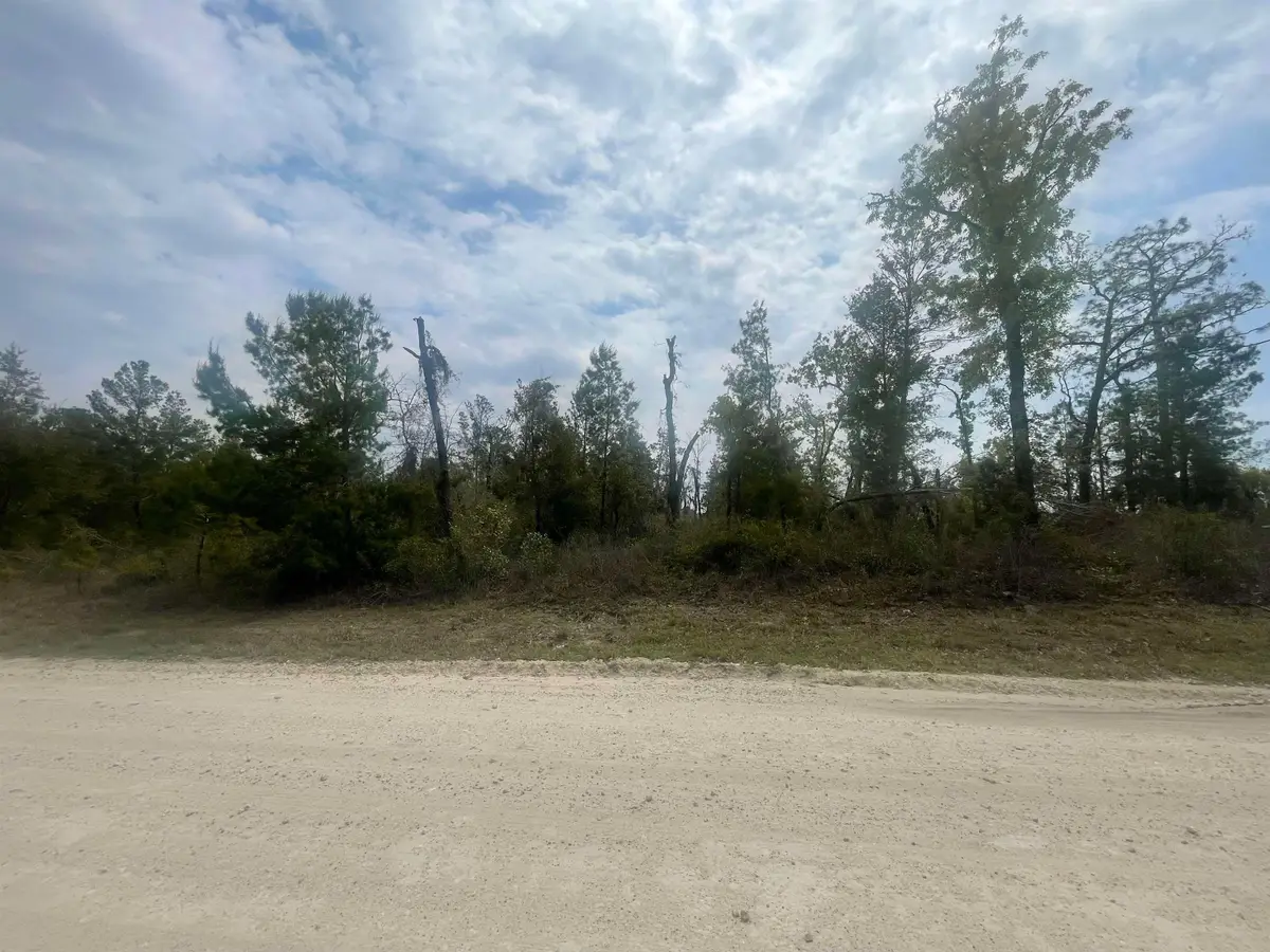 0 E Royal Oak Drive, Perry South, FL 32348 - #1