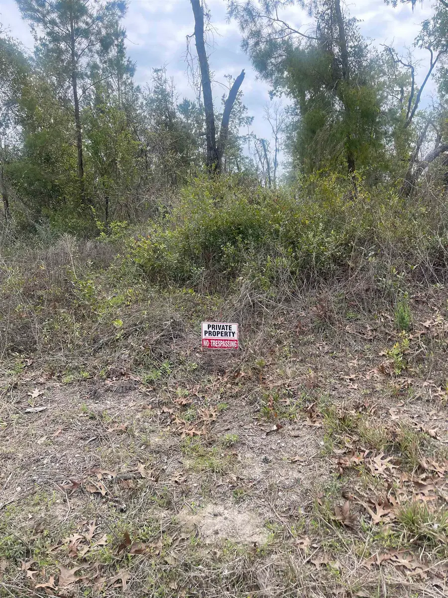 0 E Royal Oak Drive, Perry South, FL 32348 - #2