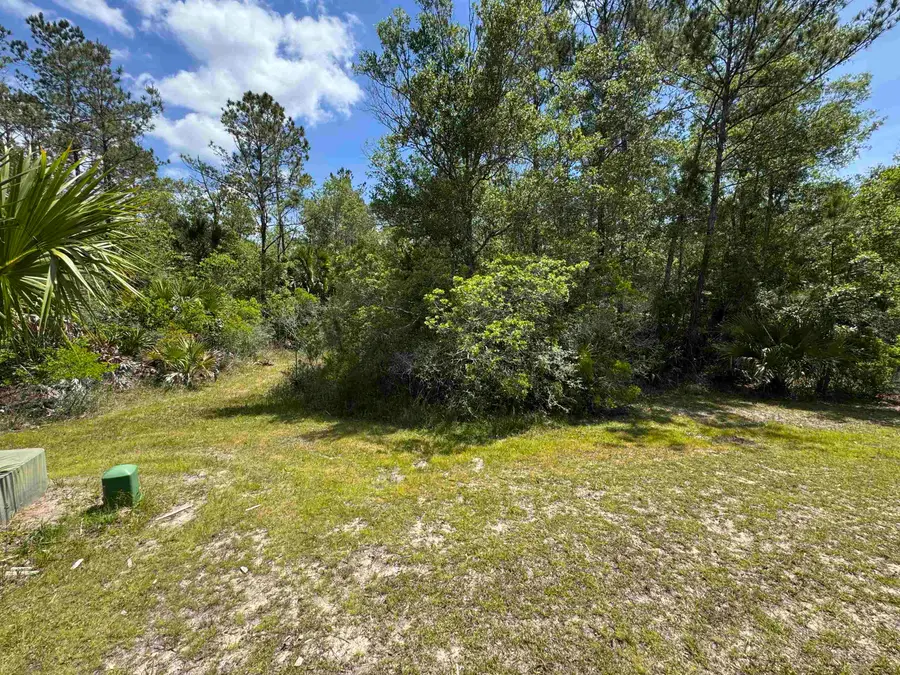 xxx Burnt Pine Loop, Saint Marks, FL 32355 - #2