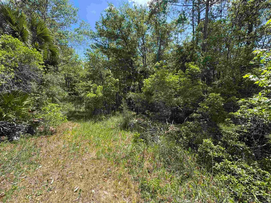 xxx Burnt Pine Loop, Saint Marks, FL 32355 - #3