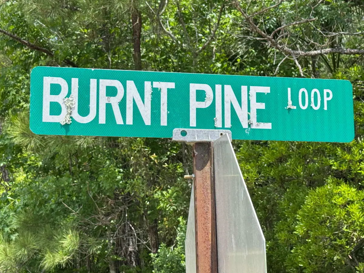 xx Burnt Pine Loop, Saint Marks, FL 32355 - #1