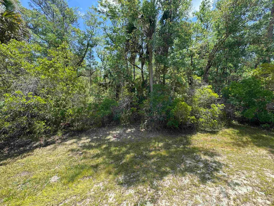 xx Burnt Pine Loop, Saint Marks, FL 32355 - #2