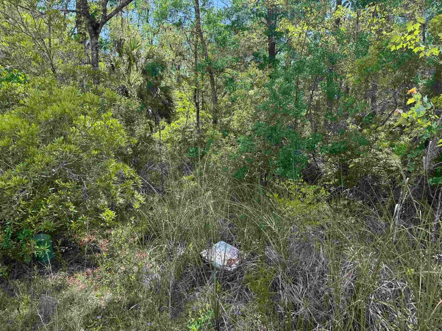 xx Burnt Pine Loop, Saint Marks, FL 32355 - #3