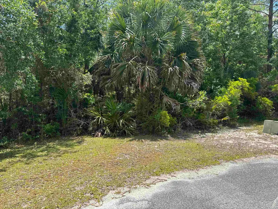 xx Cabbage Palm Court, Saint Marks, FL 32355 - #3