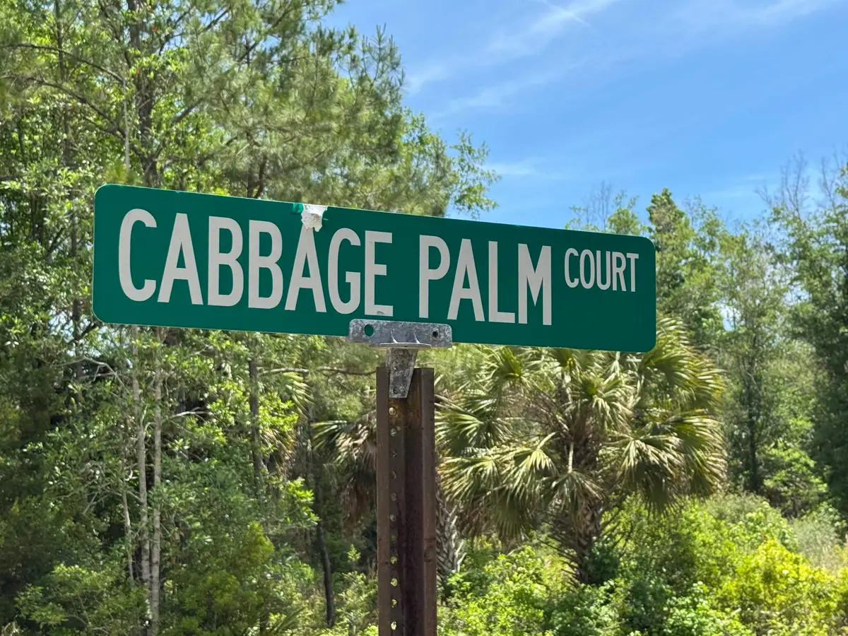 xxx Cabbage Palm Court, Saint Marks, FL 32355 - #1