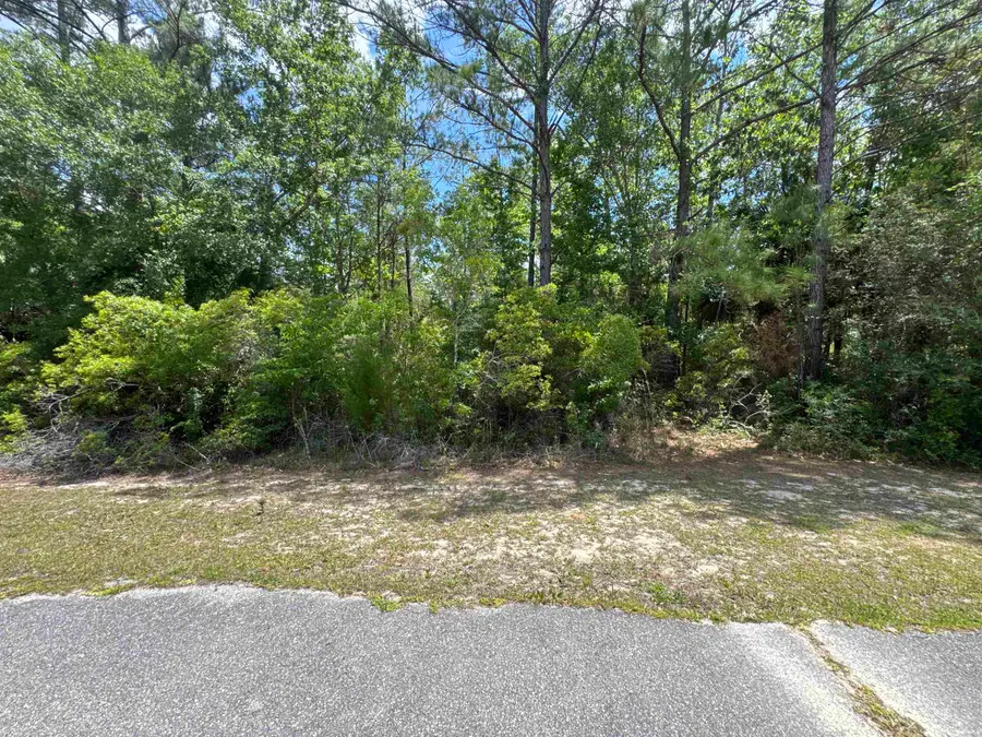 xxx Cabbage Palm Court, Saint Marks, FL 32355 - #3