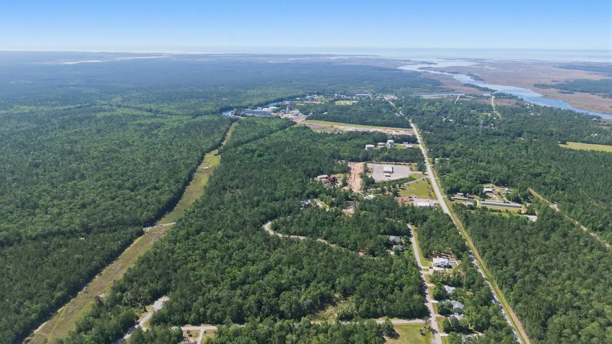 x Old Palmetto Path, Saint Marks, FL 32355 - #1