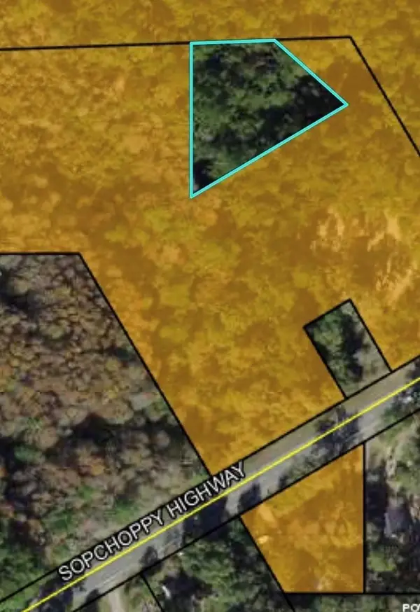 Sopchoppy Highway, Sopchoppy, FL 32358