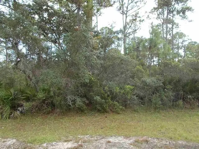 27 Piper Lane, Panacea, FL 32346 - #1
