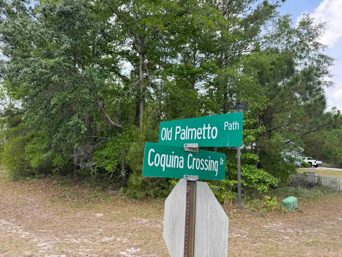 xxxx Old Palmetto Path, Saint Marks, FL 32355 - #1
