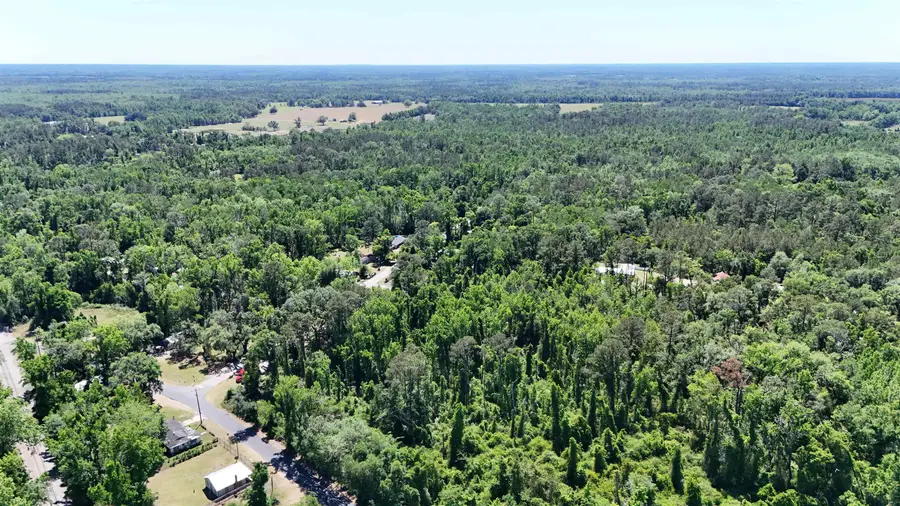 XXX SW Ray Charles Avenue, Greenville, FL 32331 - #3