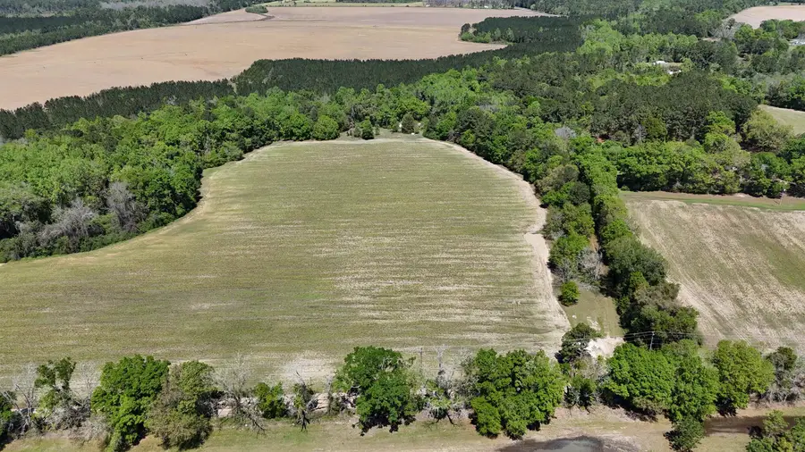 1975 Rook Road, Ochlocknee, GA 31773 - #2