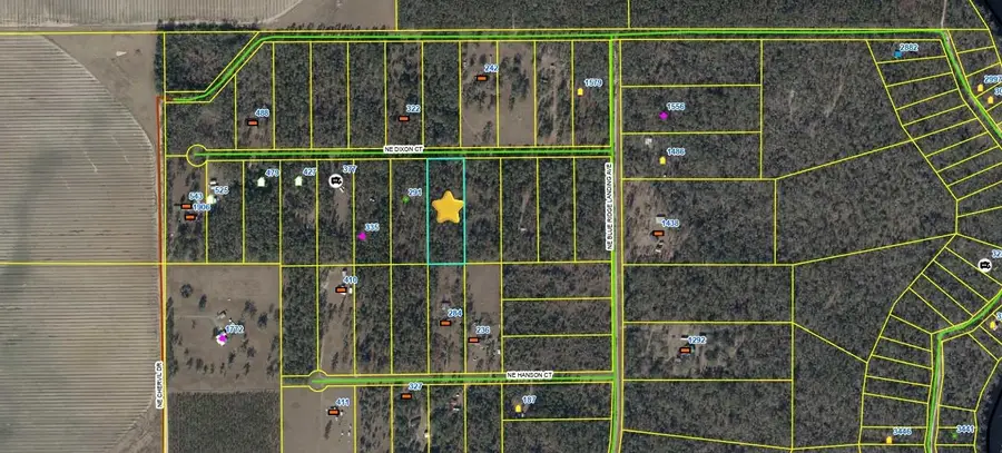 000 NE Dixon Court, Lee, FL 32059 - #2