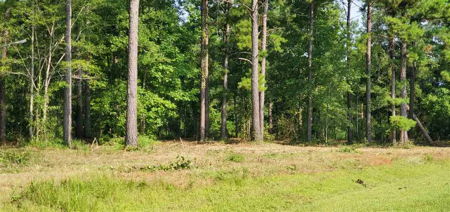 Lot 13 Block A Mountain View Way, Other Georgia, GA 39819 - #3