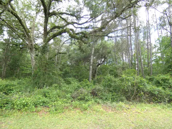 TBD E Cavallo Trail, Monticello, FL 32344