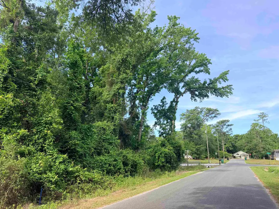 King Bee Drive, Crawfordville, FL 32327 - #2