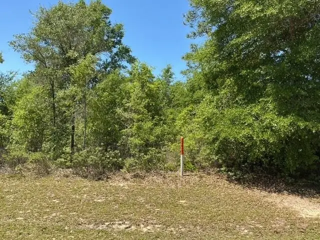 Country Club Boulevard, Chipley, FL 32428 - #1