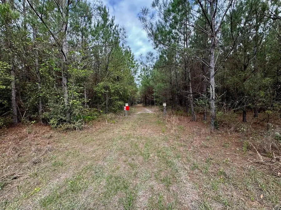 Vacant SW Captain Brown Road, Madison, FL 32340 - #2