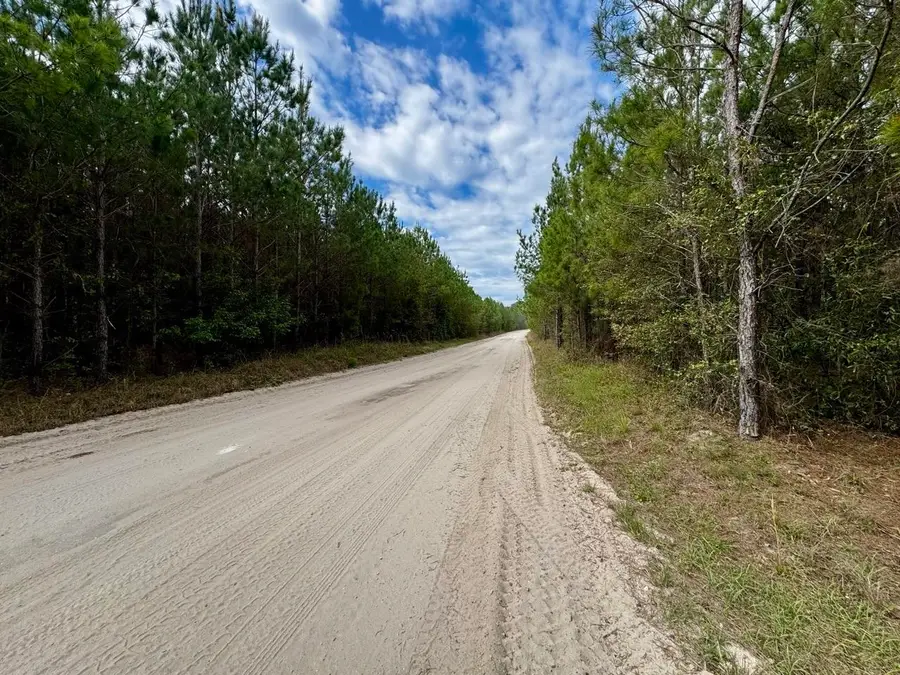 Vacant SW Captain Brown Road, Madison, FL 32340 - #3