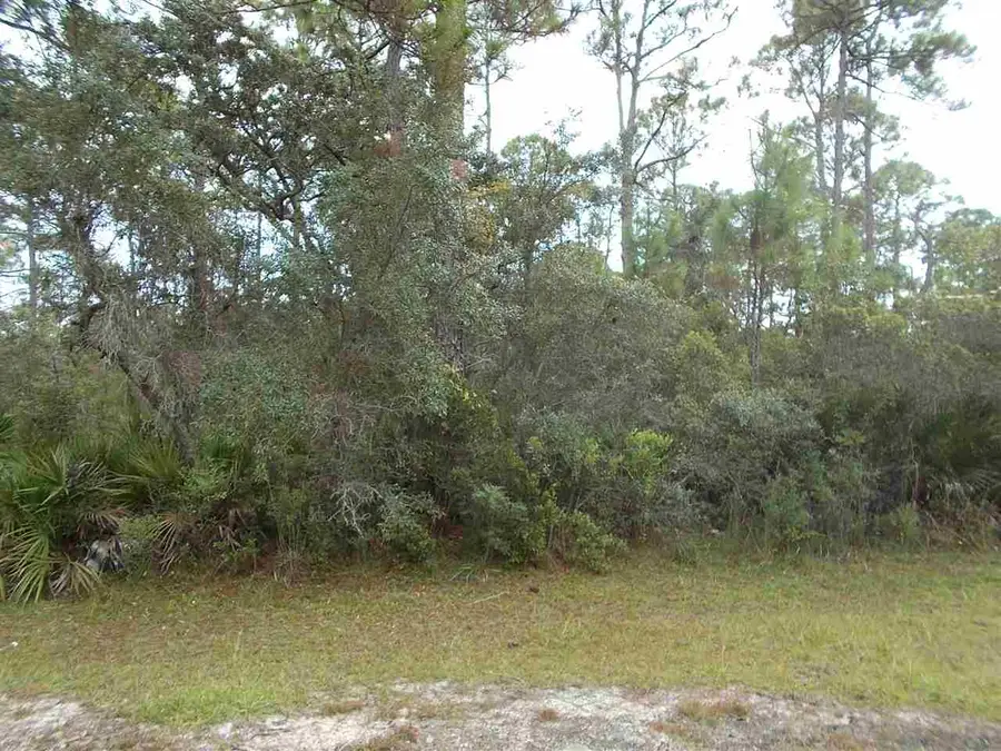 25 Piper Lane, Panacea, FL 32346 - #2