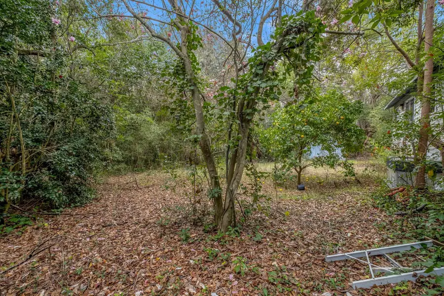 1520 Live Oak Drive, Tallahassee, FL 32301 - #3