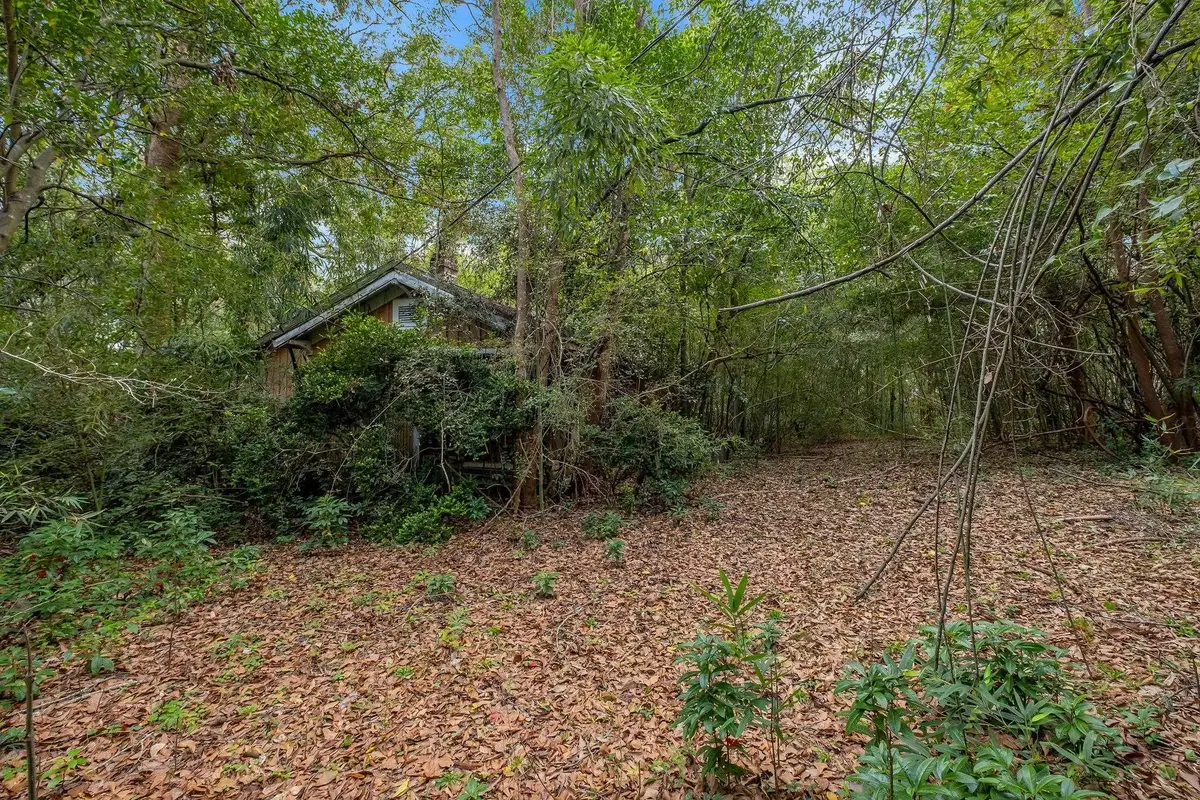 1526 Live Oak Drive, Tallahassee, FL 32301 - #1