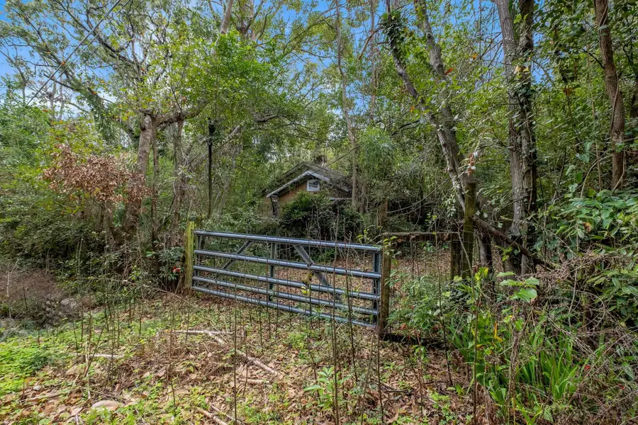 1526 Live Oak Drive, Tallahassee, FL 32301 - #3