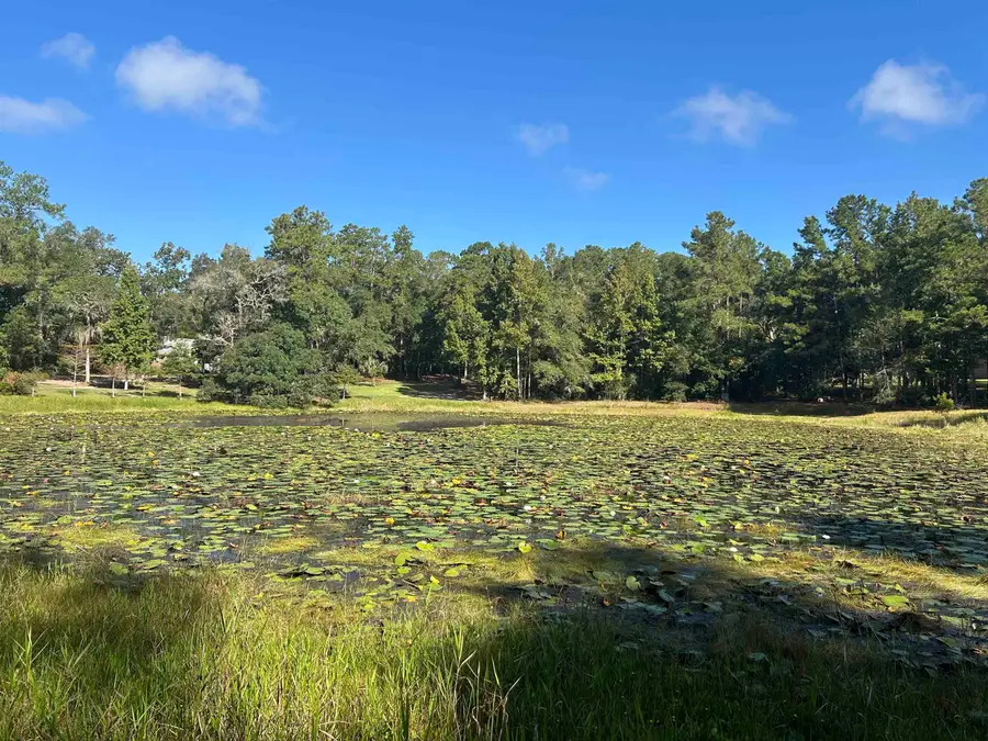 Tram Road, Tallahassee, FL 32311 - #2