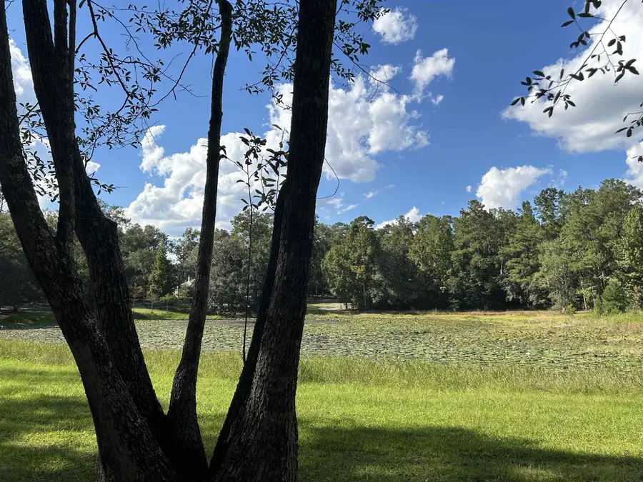 Tram Road, Tallahassee, FL 32311 - #3