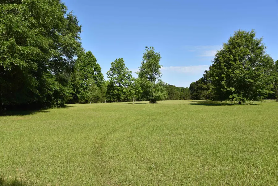 Solomon Dairy Road, Quincy, FL 32352 - #3